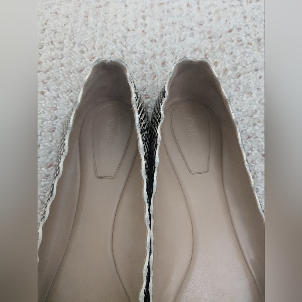 Chloe Lauren Python Embossed Snakeskin scallop Leather Ballet Flats Sz 9.5 $595. - Picture 4 of 12